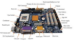 CPU socket for processor and 
RAM slots for memory