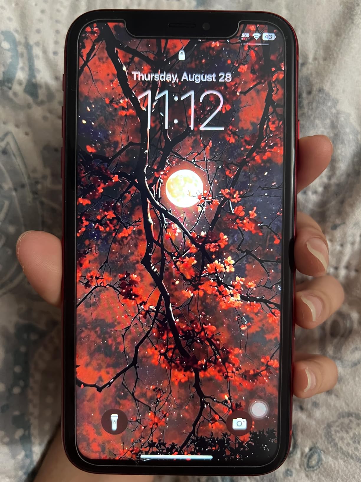 Apple iPhone XR, US Version, 64GB, Blue - Unlocked (Renewed) - Customer Photo 3