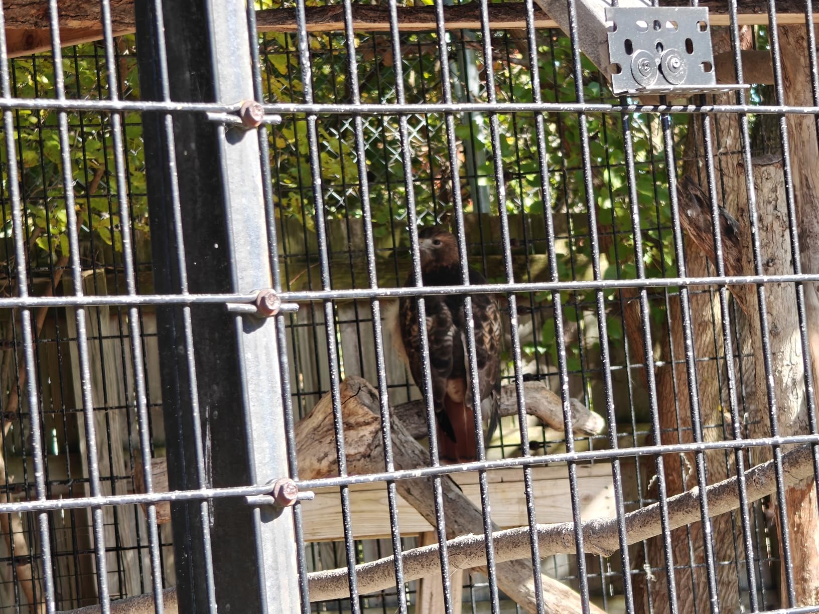 OnePlus 12 Unlocked Android Phone — Snapdragon 8 Gen 3 Phone w/ 16GB RAM, Hasselblad Camera, Dual SIM, 2K 120Hz ProXDR Display, 5400mAh Battery, SUPERVOOC Charging, OxygenOS (512GB, Flowy Emerald) - Customer Photo 2