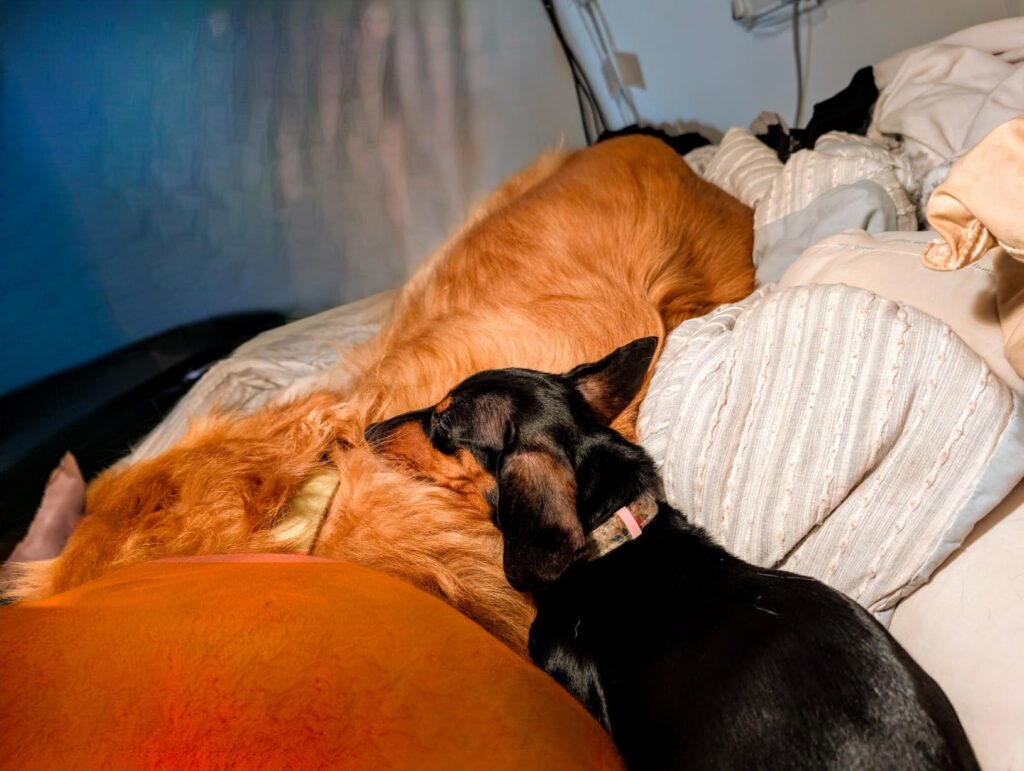 Google Pixel 9 Pro - Unlocked Android Smartphone with Gemini, Triple Rear Camera System, 24-Hour Battery, and 6.3" Super Actua Display - Hazel - 256 GB - Customer Photo 1