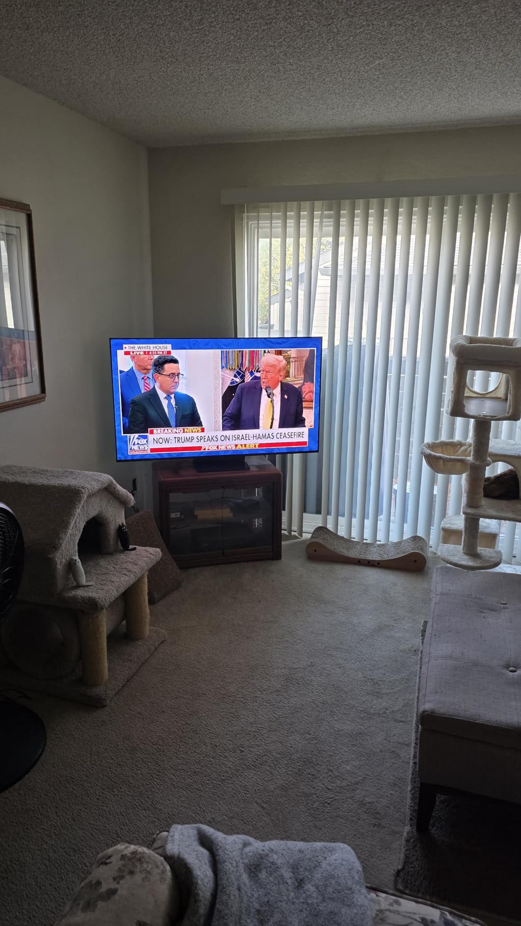 TCL 55-Inch Class QM7K Series QD-Mini LED 4K UHD Google Smart TV (55QM7K, 2025 Model) - Customer Photo 4