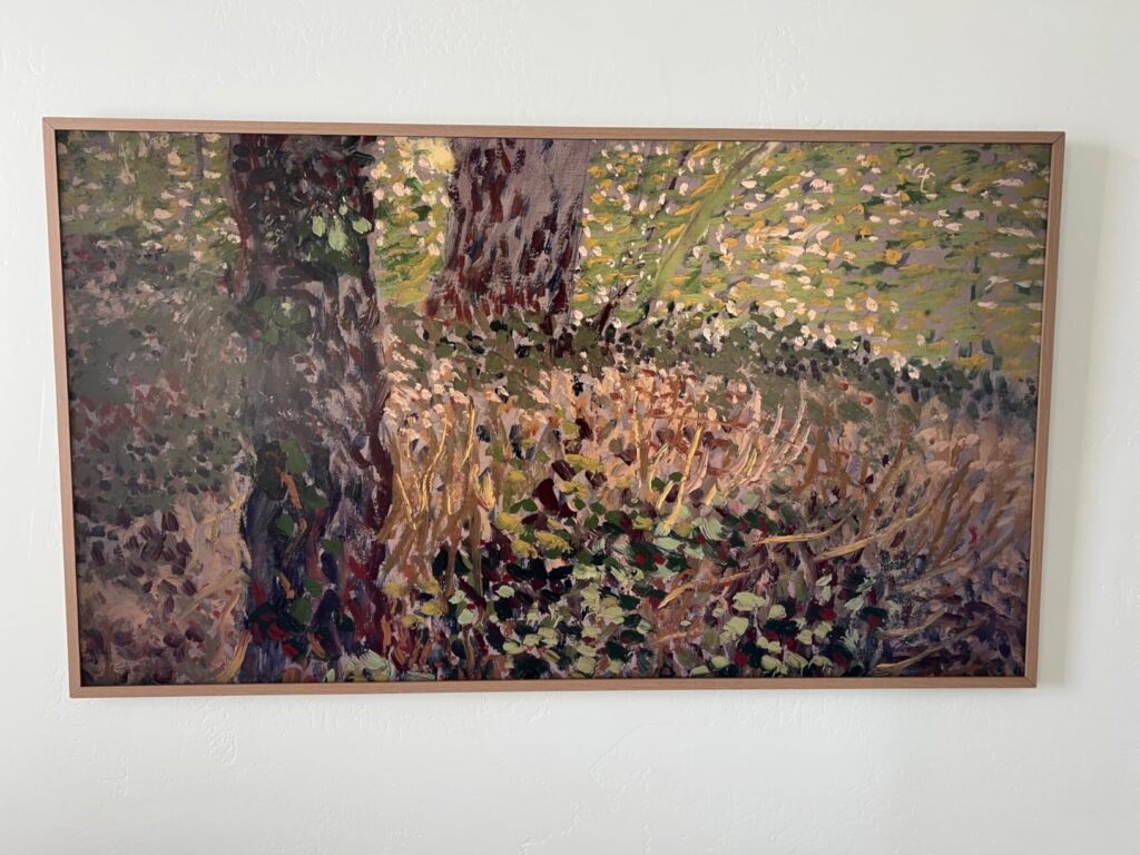 Samsung 65-Inch Class The Frame Pro LS03FW 4K Neo QLED Mini LED Smart TV (2025 Model) Slim Fit Wall Mount, Modern Frame Design, Wireless One Connect, NQ4 AI Gen3 Processor, Art Mode, Alexa Built-in - Customer Photo 4