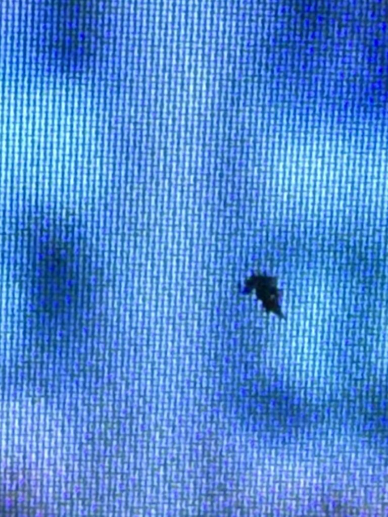 Hisense 55" U7 Mini-LED ULED 4K UHD Best Premium Gaming Google Smart TV (55U75QG, 2025 Model) - QLED, Native 165Hz, VRR 288, Up to 3000 Nits, HDR10+, Dolby Vision IQ · Atmos, IMAX Enhanced, 2.1.2 Ch - Customer Photo 5