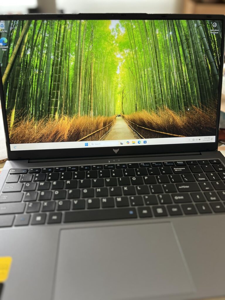 2025 Gaming Laptop with AMD Ryzen7 5000 Series(Up to 4.3GHZ,8C/16T),AMD Radeon Graphics,16GB DDR4x2 512GB SSD Notebook Computer with Numeric Keyboard,15.6 inch IPS Display,WIFI6,Type-C - Customer Photo 2