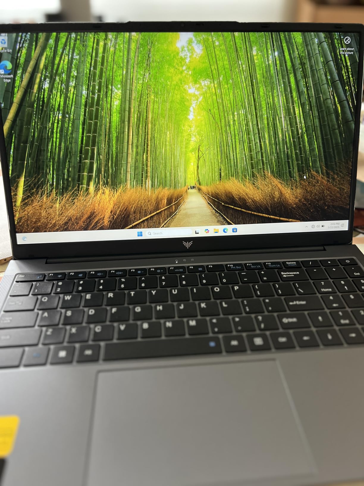 2025 Gaming Laptop with AMD Ryzen7 5000 Series(Up to 4.3GHZ,8C/16T),AMD Radeon Graphics,16GB DDR4x2 512GB SSD Notebook Computer with Numeric Keyboard,15.6 inch IPS Display,WIFI6,Type-C - Customer Photo 2