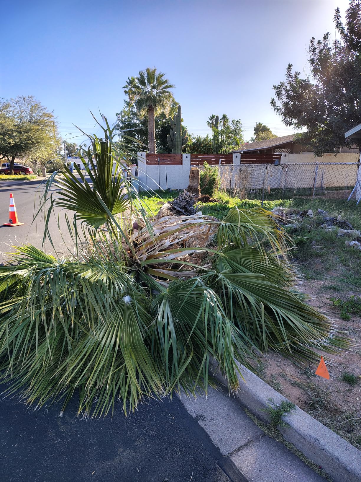 Oregon CS1500 Self-Sharpening Electric Chain Saw - Customer Photo 1