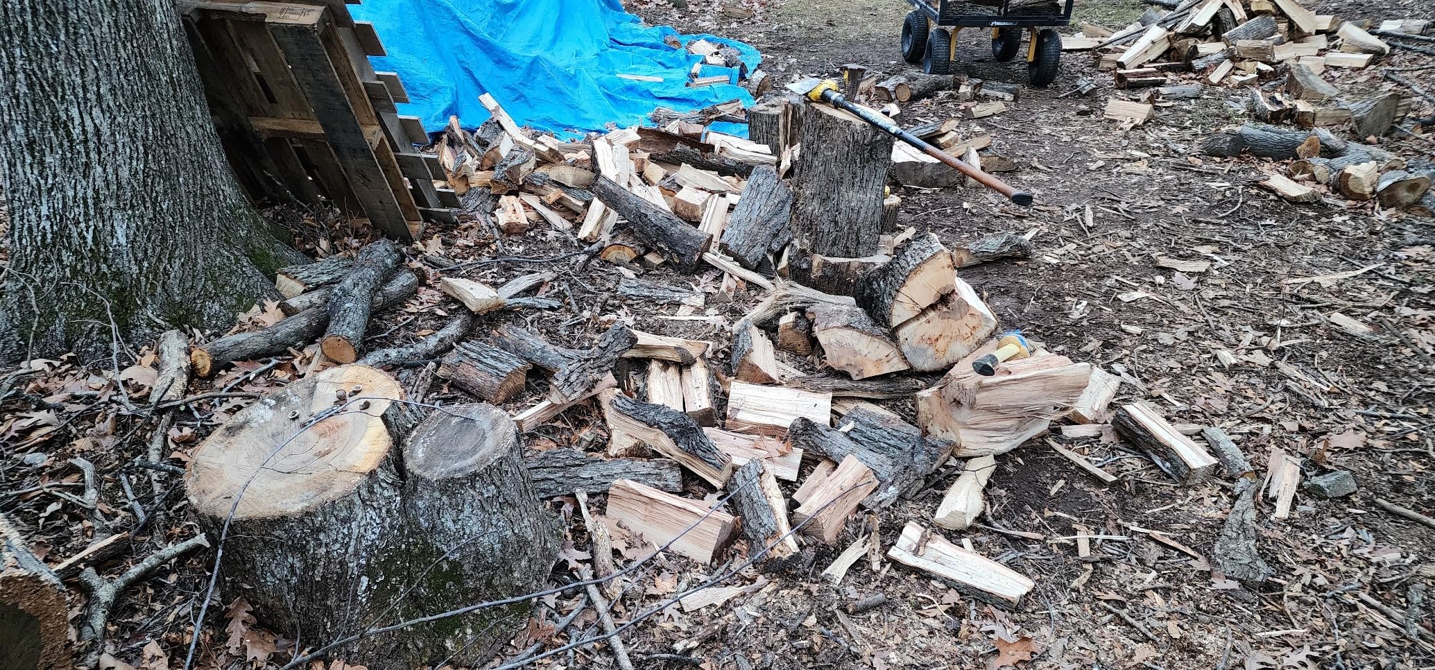 EGO POWER+ Chain Saw, 16