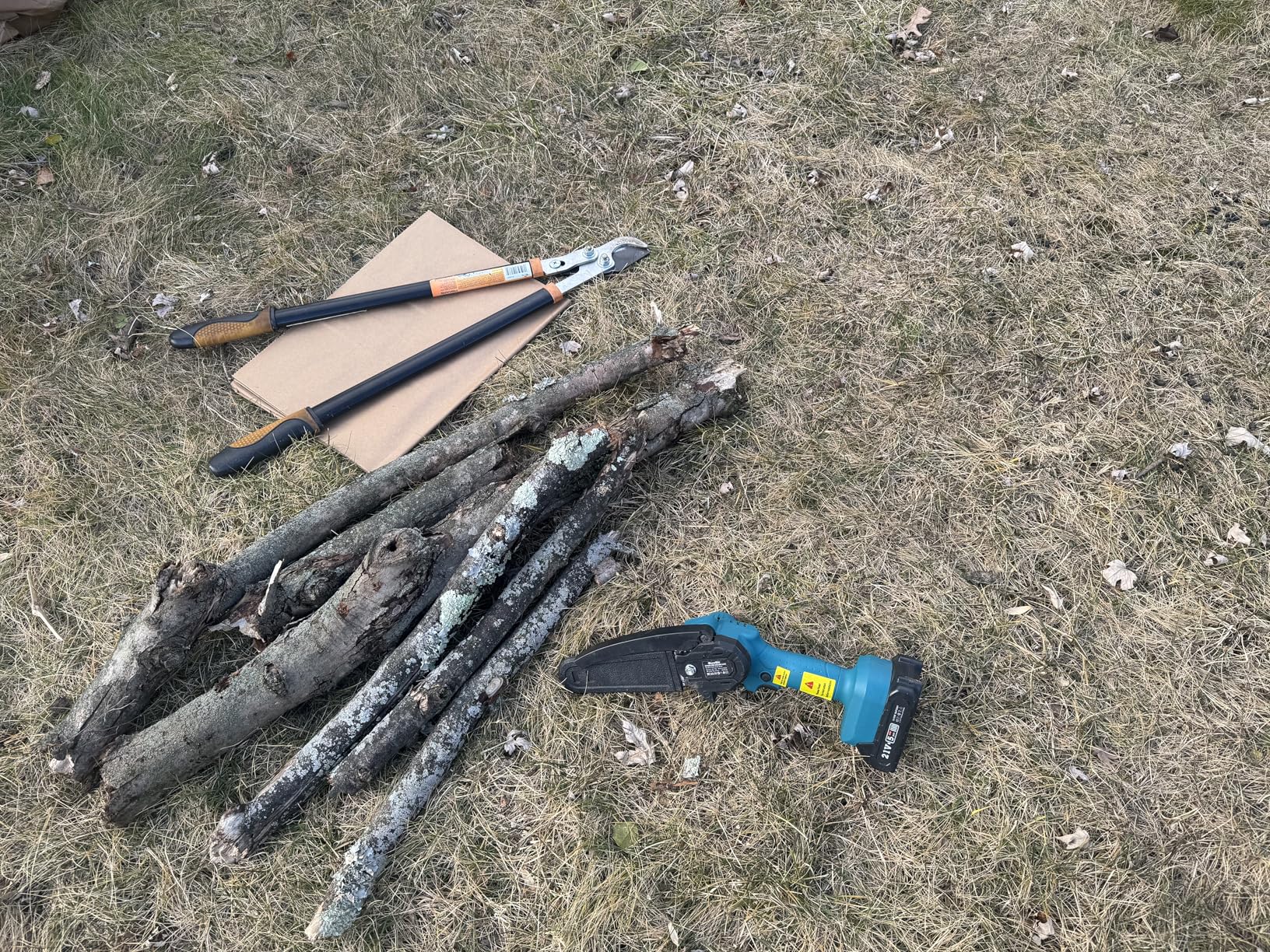 Seesii Mini Chainsaw, 6-inch Mini Chainsaw Cordless, Handheld Electric Power Chain Saw with 2 Batteries, for Tree Trimming Wood Cutting, Best Gifts for Father, Dad, Husband, Men - Customer Photo 1