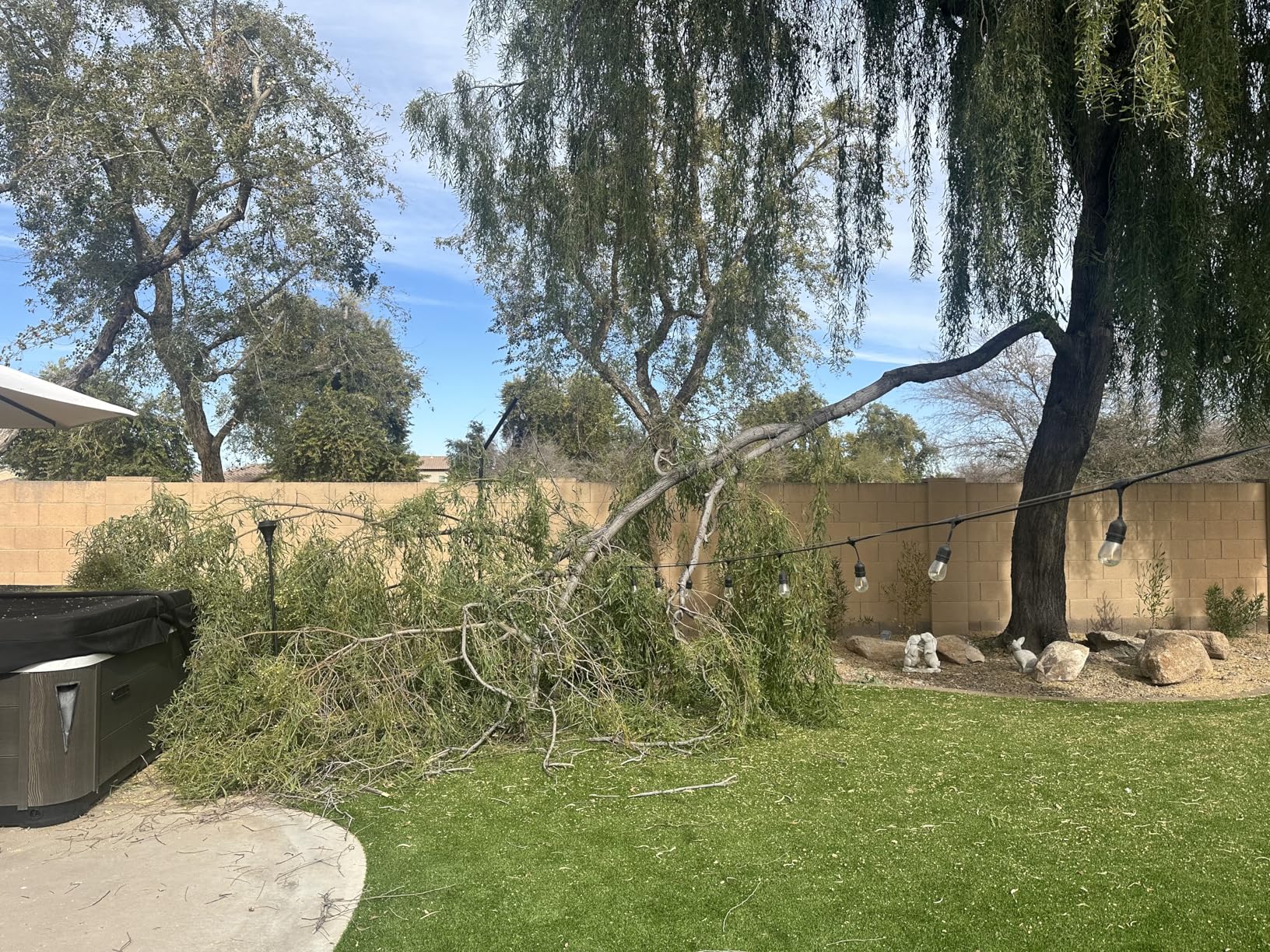 Seesii Mini Chainsaw, 6-inch Mini Chainsaw Cordless, Handheld Electric Power Chain Saw with 2 Batteries, for Tree Trimming Wood Cutting, Best Gifts for Father, Dad, Husband, Men - Customer Photo 2