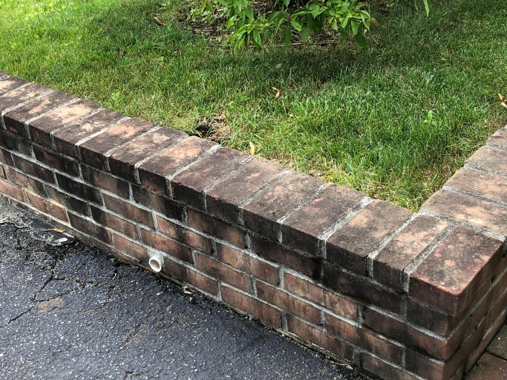 Westinghouse ePX3100v Electric Pressure Washer, 2100 Max PSI 1.76 Max GPM, Built-in Carry Handle, Detachable Foam Cannon, Pro-Style Steel Wand, 3-Nozzle Set, for Cars/Fences/Driveways/Home/Patios - Customer Photo 3